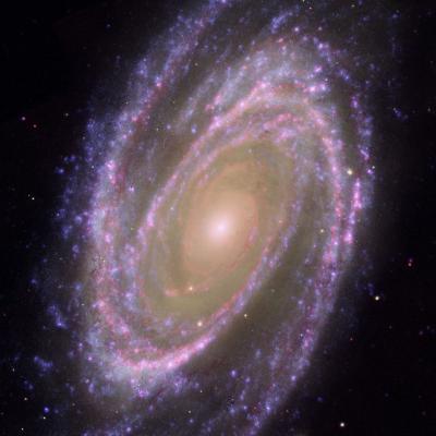 M81 - Bode's Galaxy