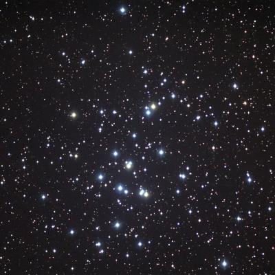 Beehive Cluster (M44)