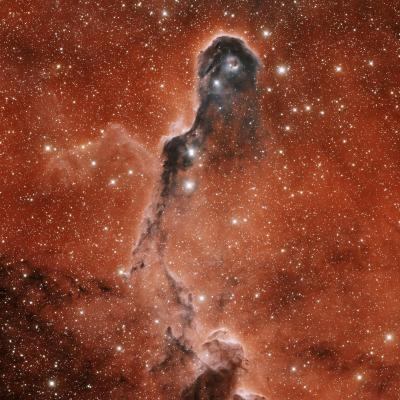 Elephant's Trunk Nebula